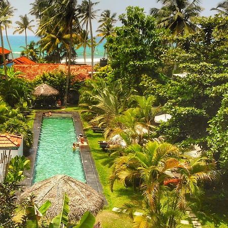 Turtle Eco Beach Matara Zewnętrze zdjęcie