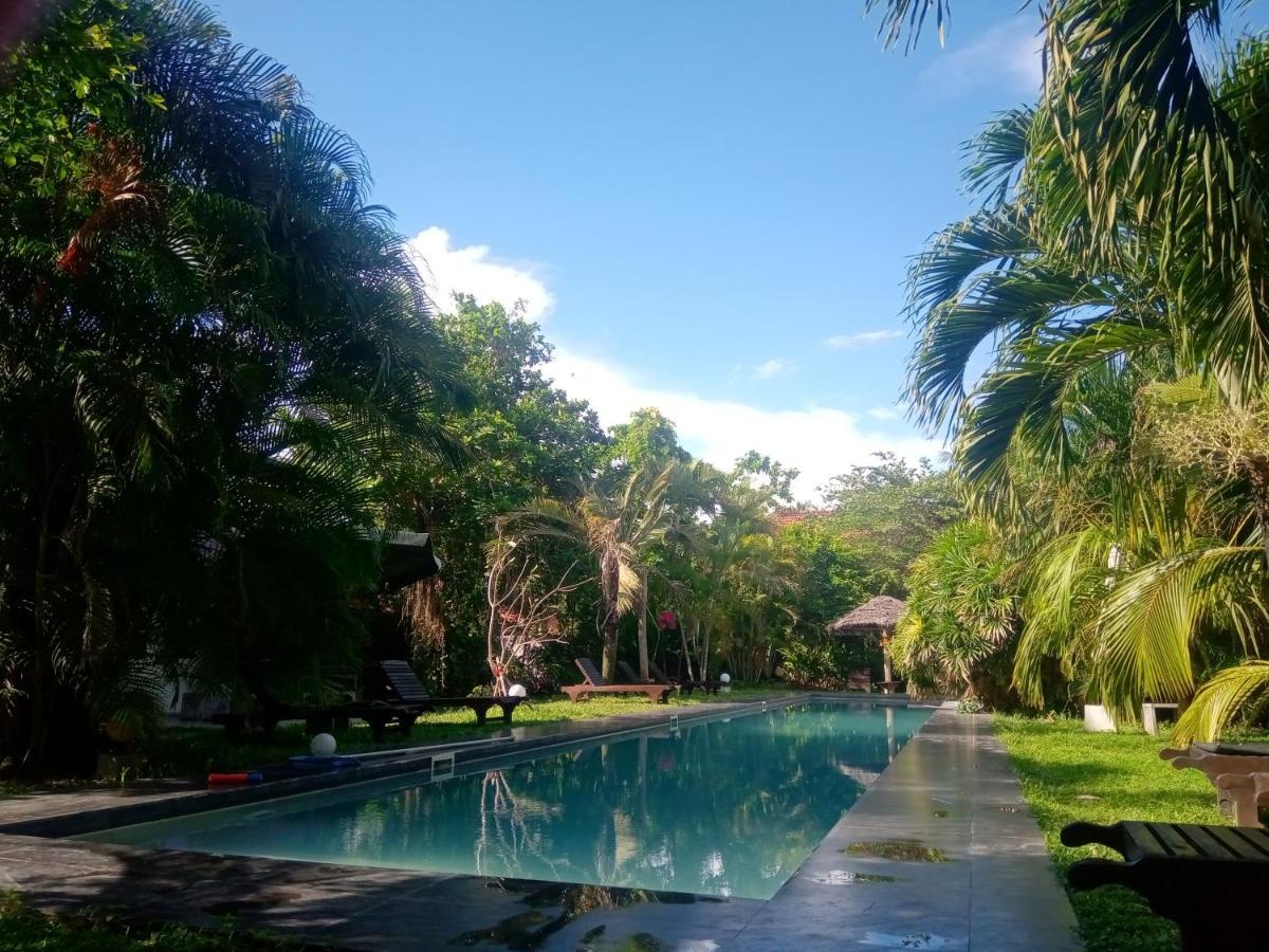 Turtle Eco Beach Matara Zewnętrze zdjęcie