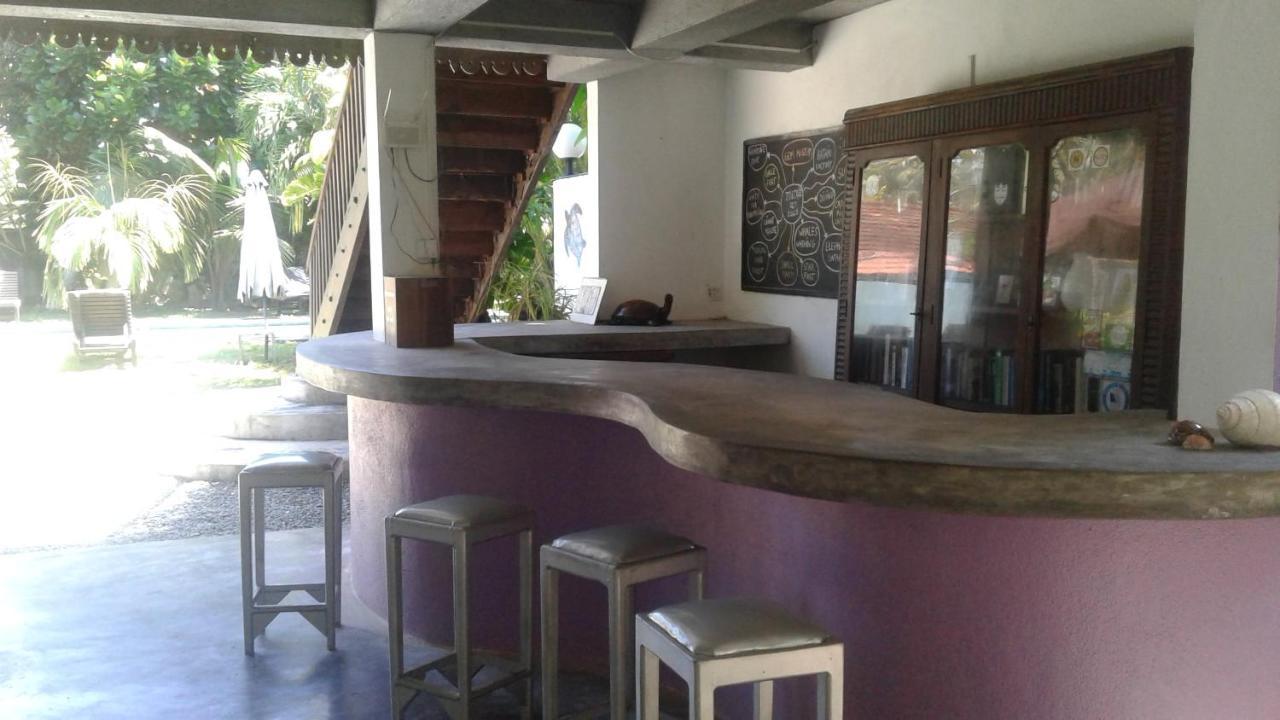Turtle Eco Beach Matara Zewnętrze zdjęcie
