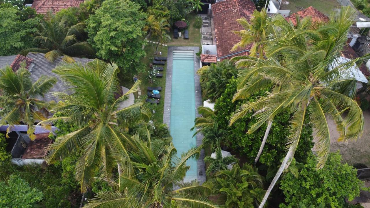 Turtle Eco Beach Matara Zewnętrze zdjęcie