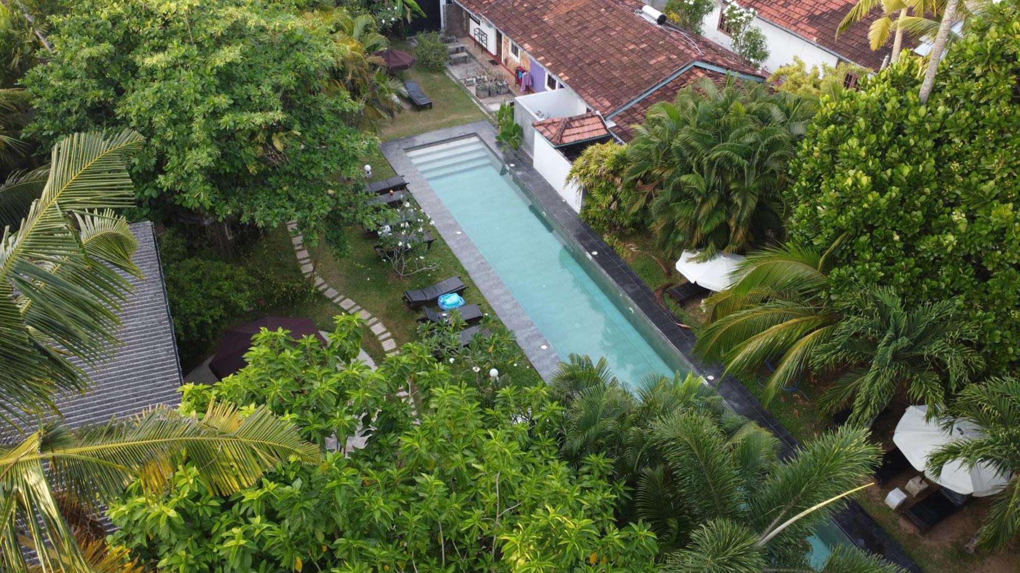 Turtle Eco Beach Matara Zewnętrze zdjęcie