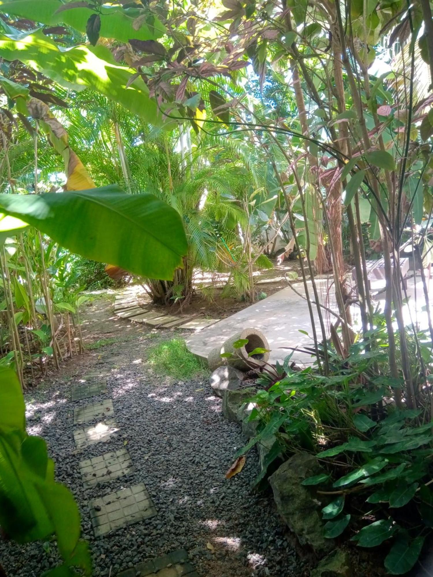 Turtle Eco Beach Matara Zewnętrze zdjęcie