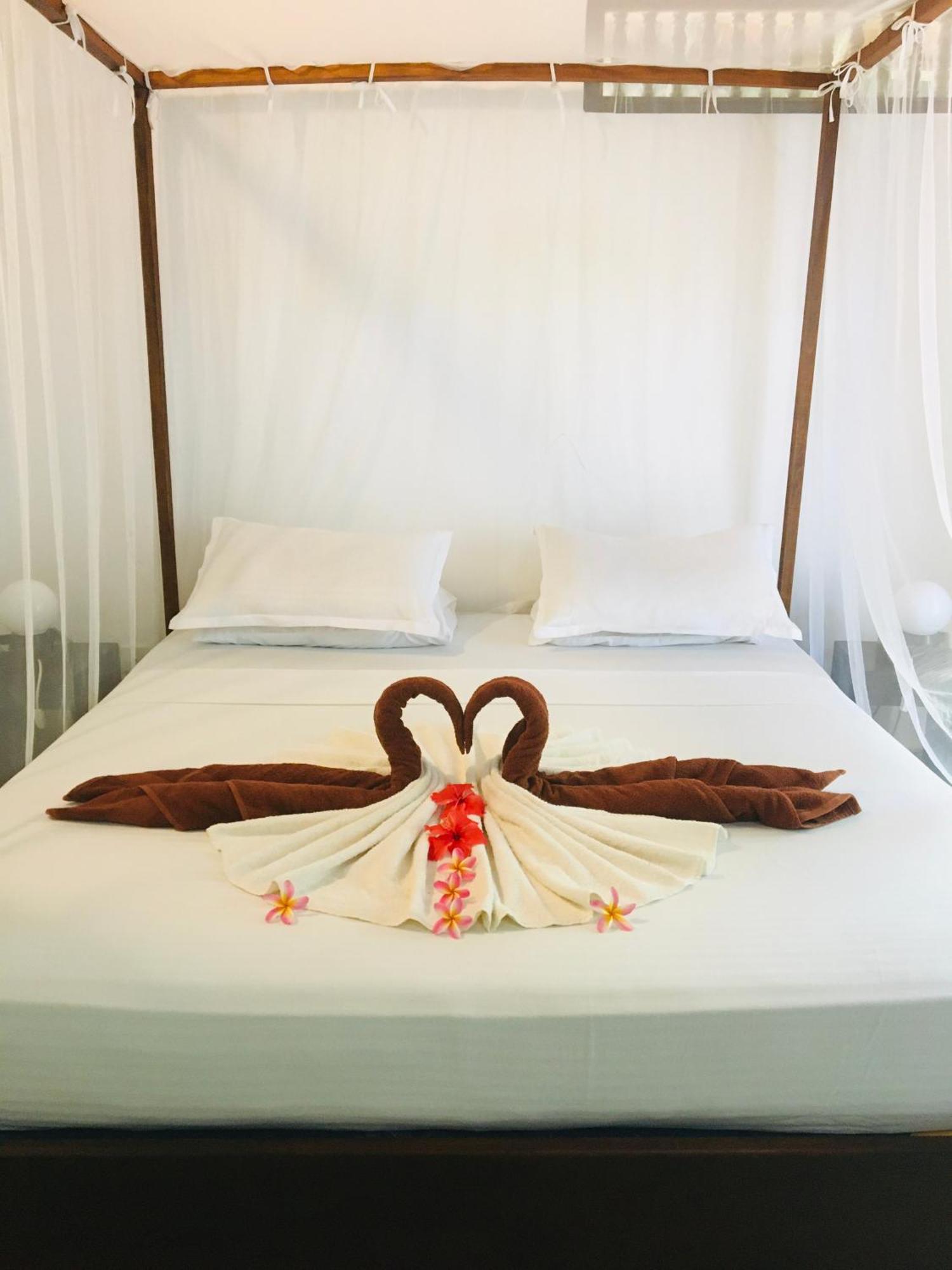 Turtle Eco Beach Matara Zewnętrze zdjęcie