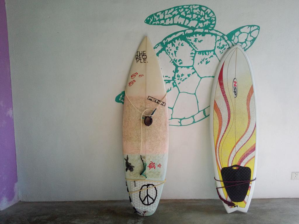 Turtle Eco Beach Matara Zewnętrze zdjęcie