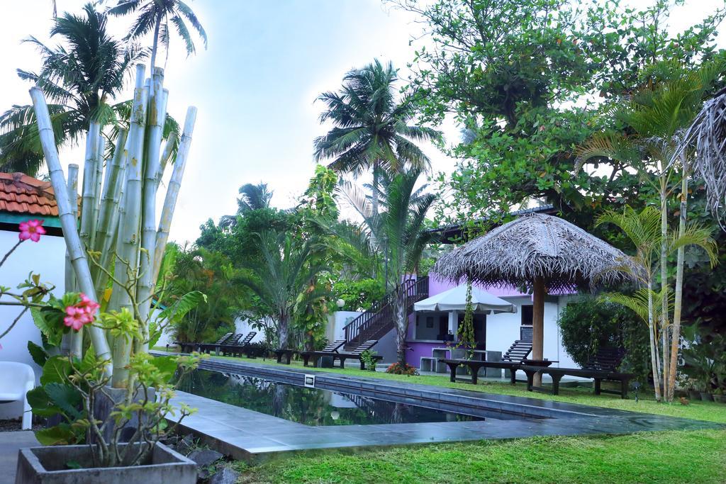 Turtle Eco Beach Matara Zewnętrze zdjęcie