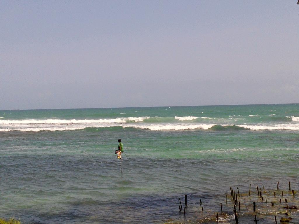 Turtle Eco Beach Matara Zewnętrze zdjęcie