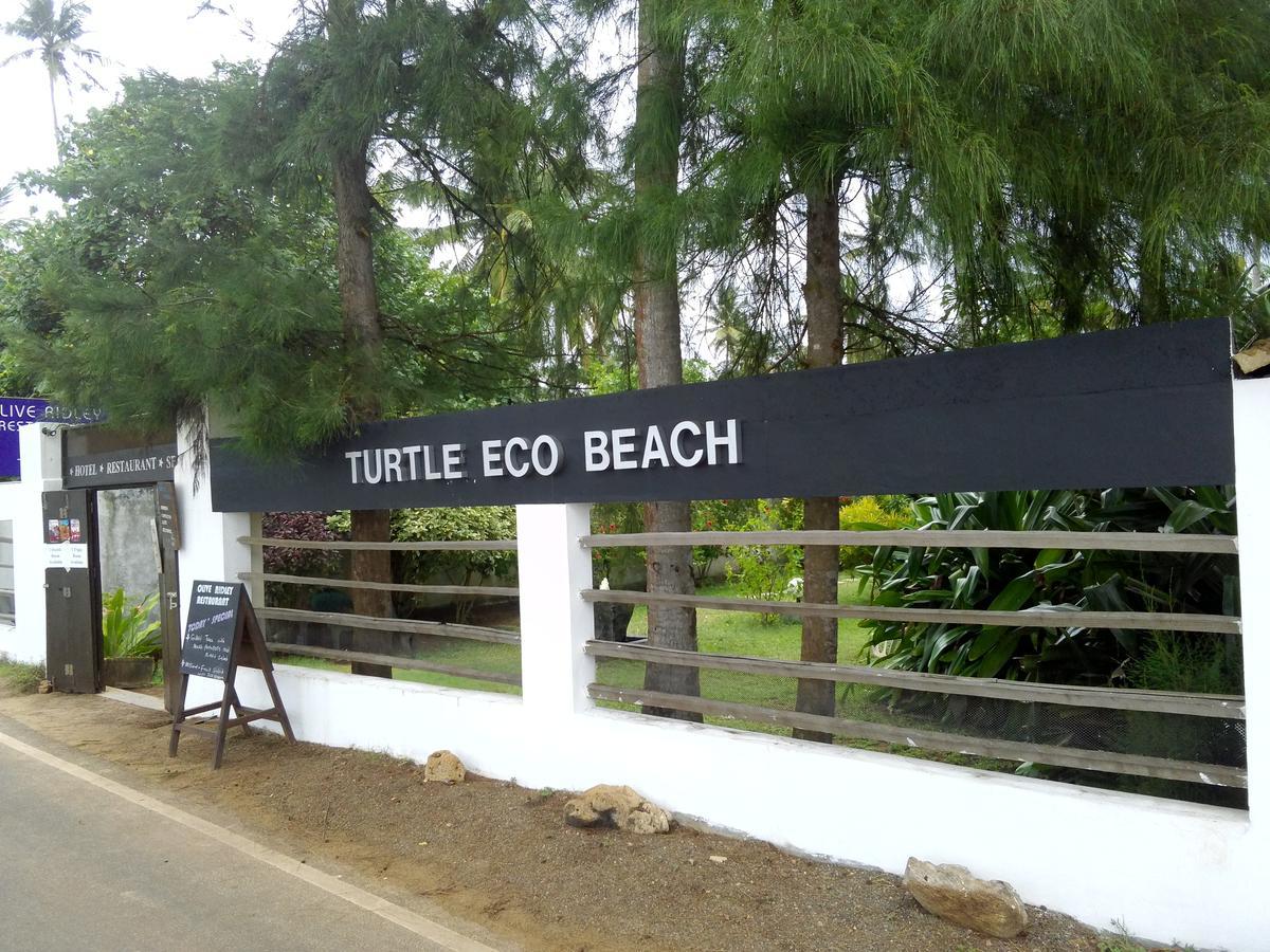 Turtle Eco Beach Matara Zewnętrze zdjęcie