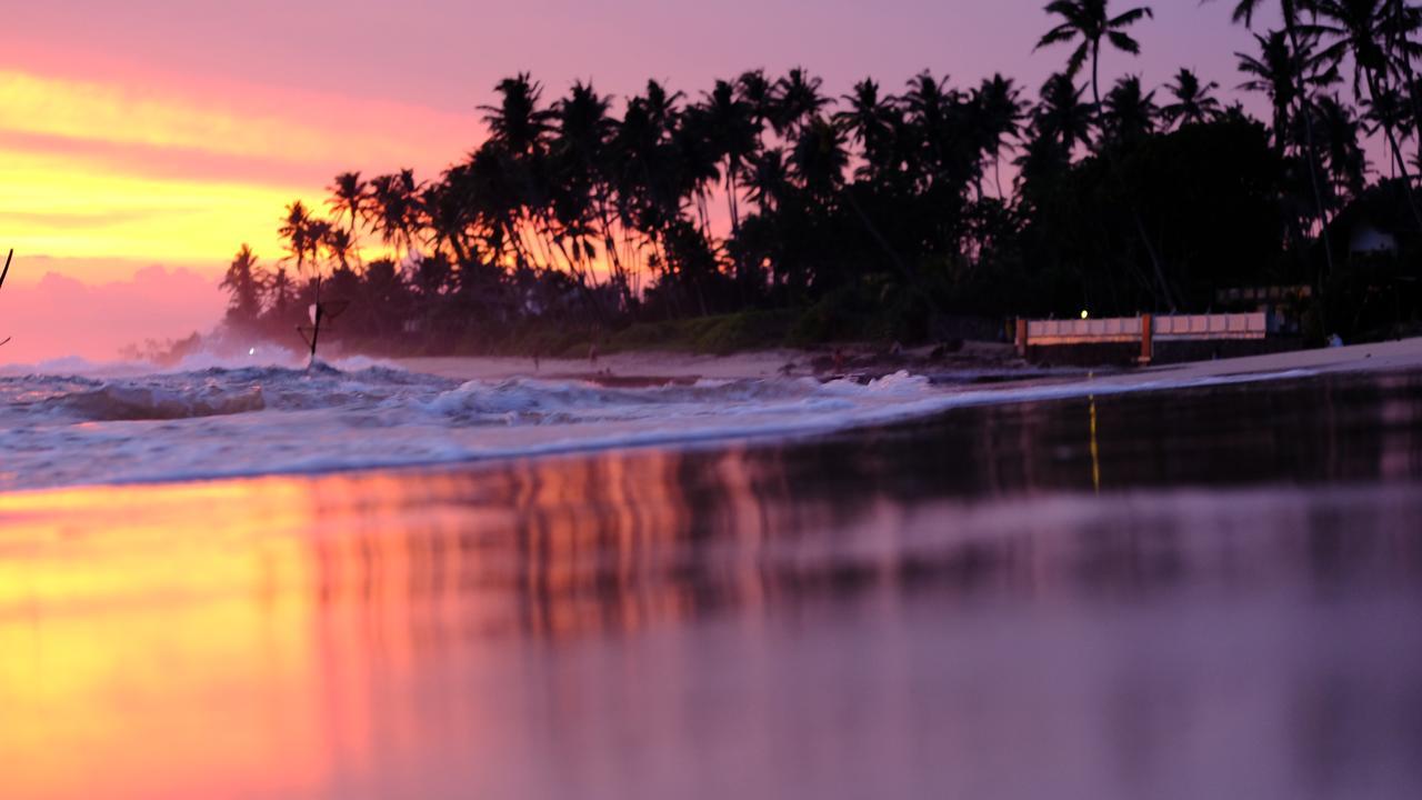 Turtle Eco Beach Matara Zewnętrze zdjęcie