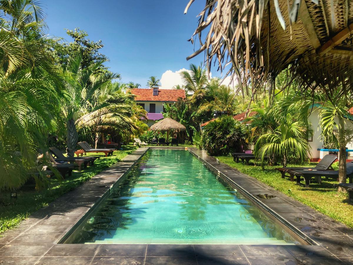 Turtle Eco Beach Matara Zewnętrze zdjęcie