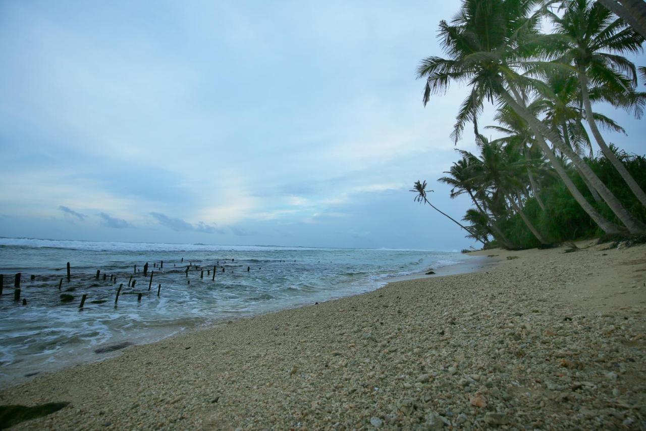 Turtle Eco Beach Matara Zewnętrze zdjęcie