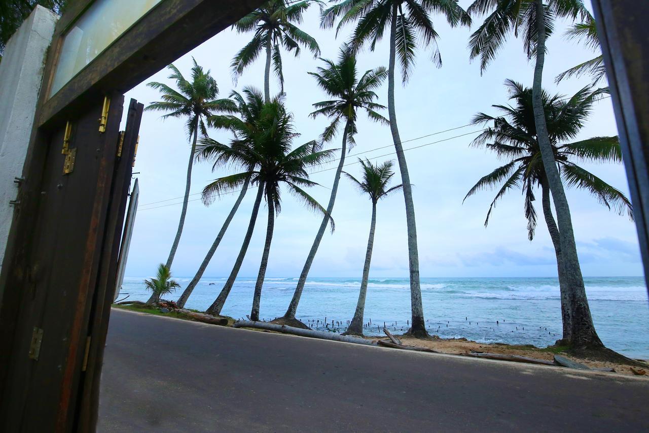 Turtle Eco Beach Matara Zewnętrze zdjęcie