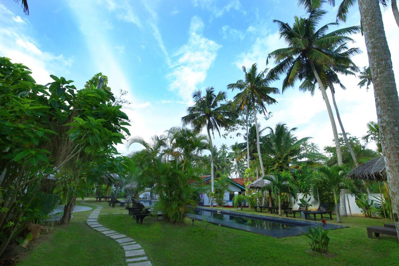 Turtle Eco Beach Matara Zewnętrze zdjęcie