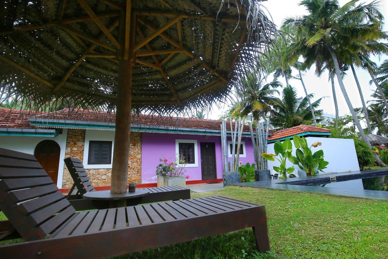 Turtle Eco Beach Matara Zewnętrze zdjęcie