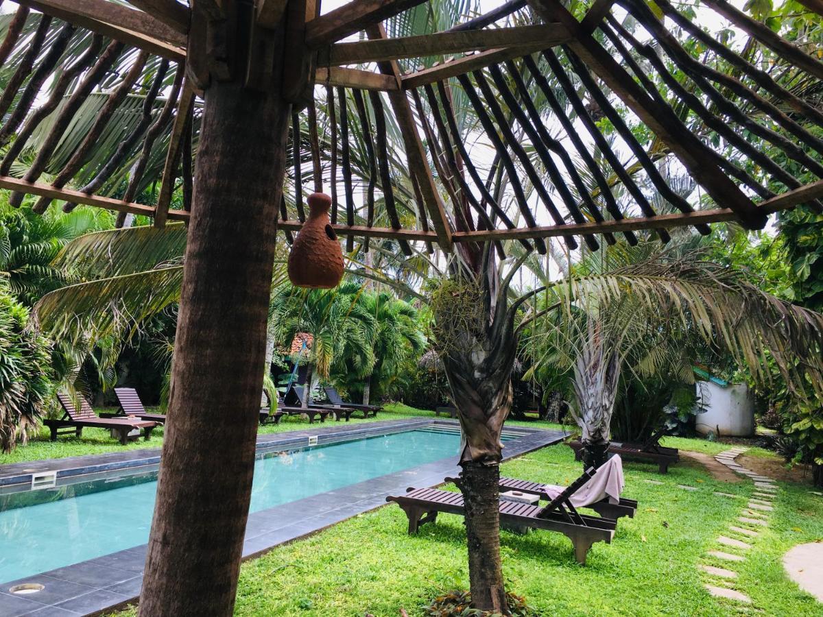 Turtle Eco Beach Matara Zewnętrze zdjęcie